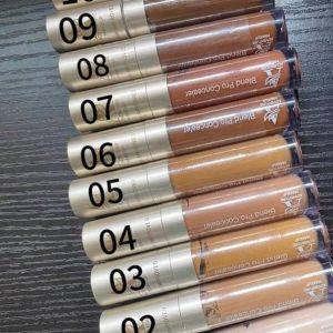 Adventure Blend Pro Concealer